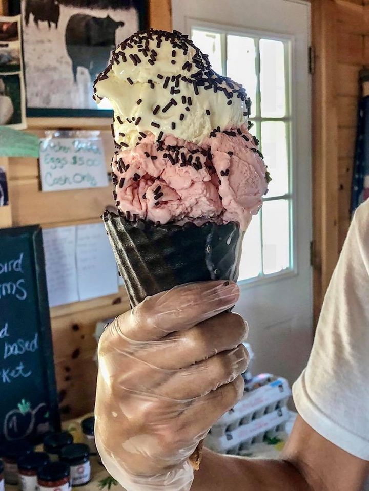Strawberry and vanilla ice cream in a black cone from Blackbird Farm.
